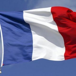 Introduction of the French language on the website